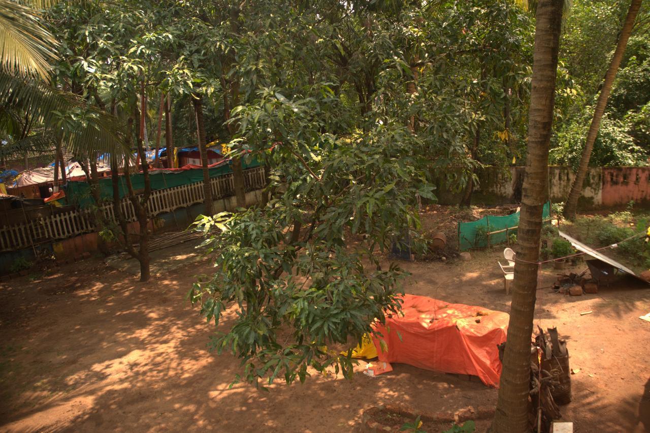 Namahstay Eco Hostel & Coworking & Art Community Space Arambol Kültér fotó
